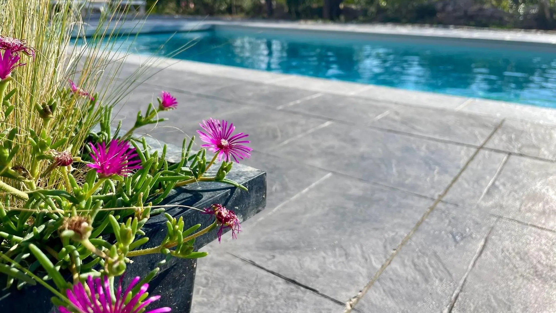 Villa Neuve Avec Piscine Privee Chauffee Et Sa Superbe Terrasse Joyeuse Frankrig
